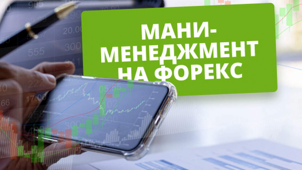 Что такое мани-менеджмент на Форекс и как ему научиться