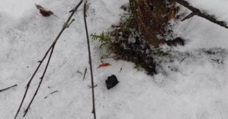 Семейная пара из Пинска распространяла наркотики