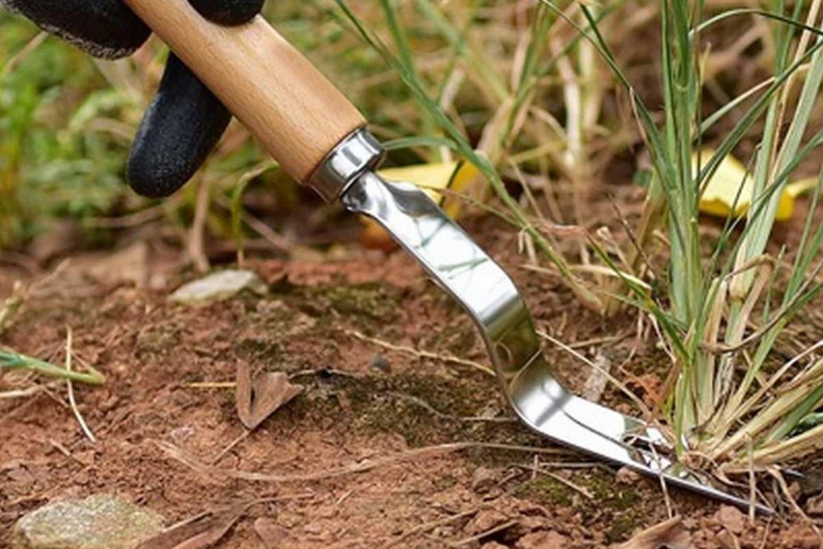 Как правильно выбрать садовый инструмент