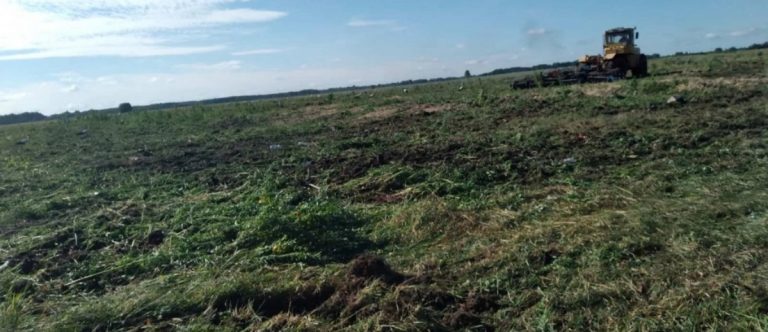 Почти три тонны конопли было в Пинском районе