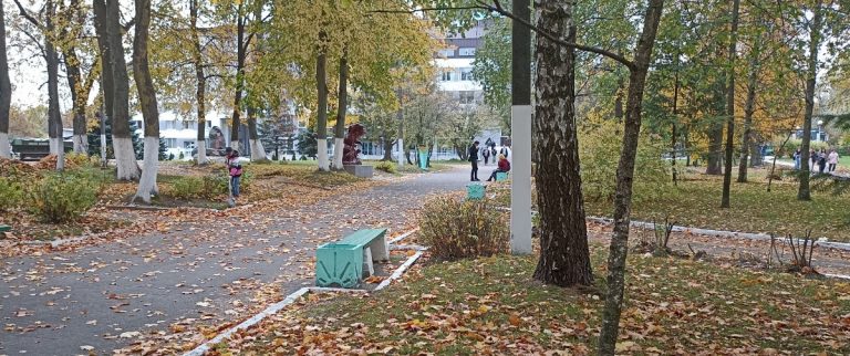 Какой будет погода в Пинске в начале ноября?