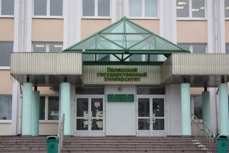 Школьников обучат бизнесу в лагере ПолесГУ