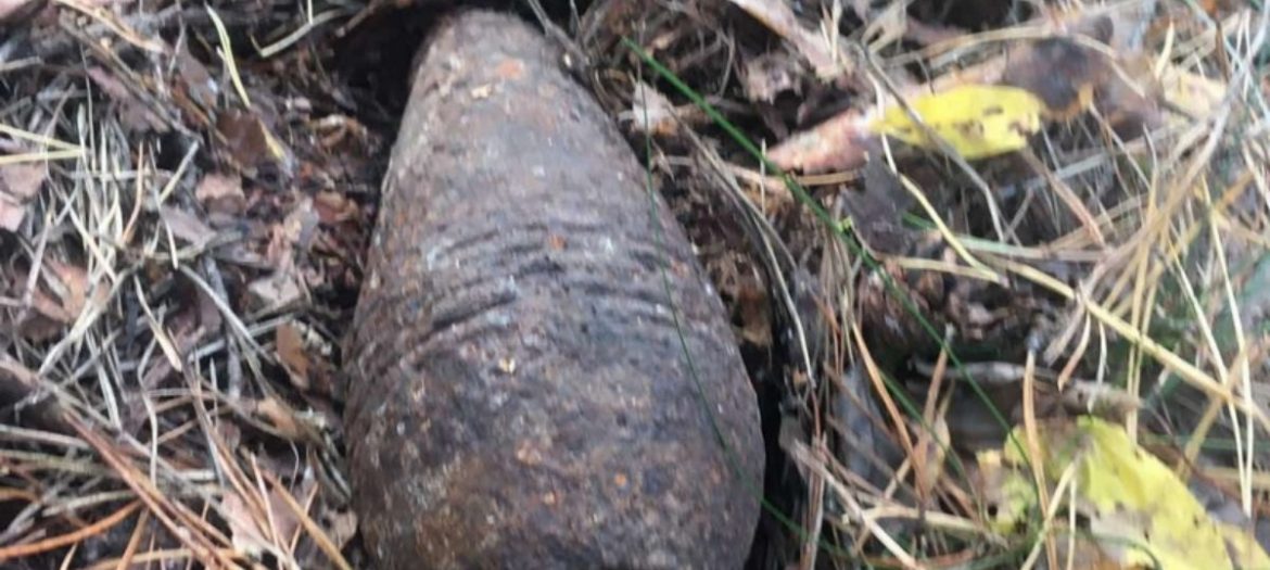 Необычная находка пинчанина в грибной сезон Необычная находка пинчанина в грибной сезон