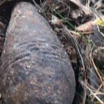 Необычная находка пинчанина в грибной сезон