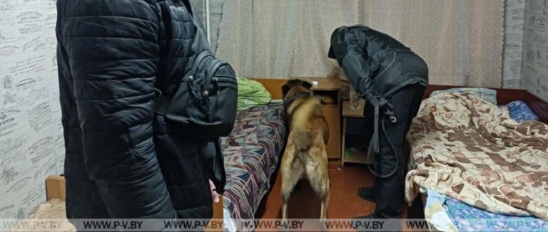 Два общежития Пинска проверяла милиция вместе со служебной собакой