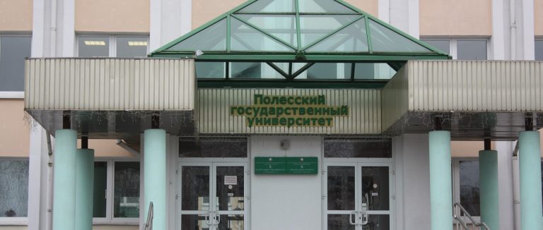 Детей с нарушением слуха учат программированию