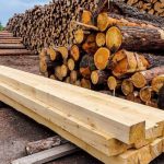 Деревообрабатывающие предприятия в Брестской области подозревают в махинациях