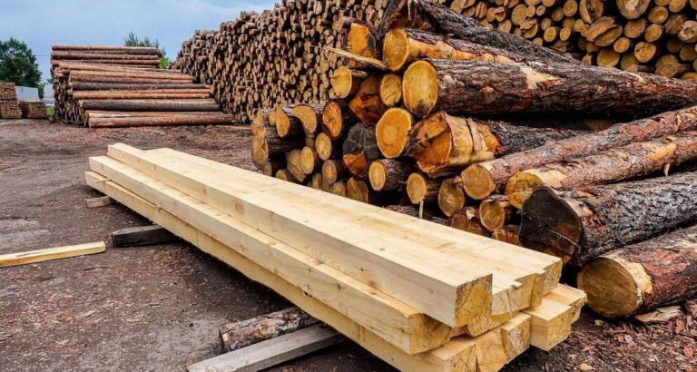 Дрэваапрацоўчыя прадпрыемствы ў Брэсцкай вобласці падазраюць у фінансавых махінацыях Деревообрабатывающие предприятия в Брестской области подозревают в махинациях