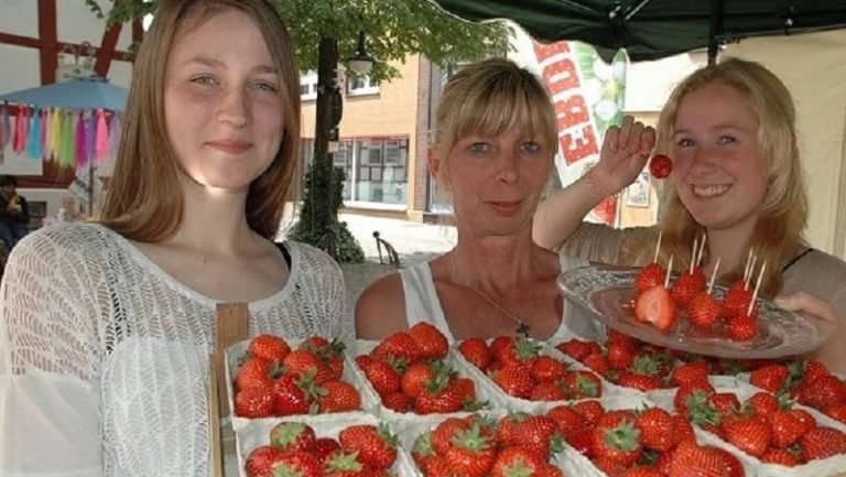 Как отмечают праздник клубники в Германии