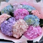 Как ухаживать за букетом из гортензий: советы от флористов