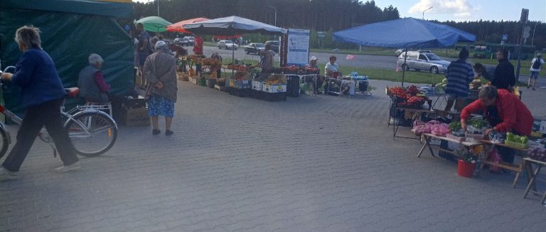 Где покупают овощи и фрукты жители микрорайона «Луги» в Пинске?