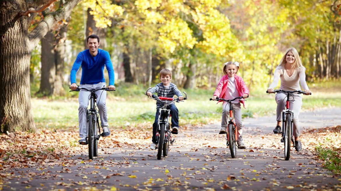 Как выбрать верного «железного коня» для городских прогулок на Ozon