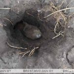 В Пинском районе нашли снаряд снаряд Пинск