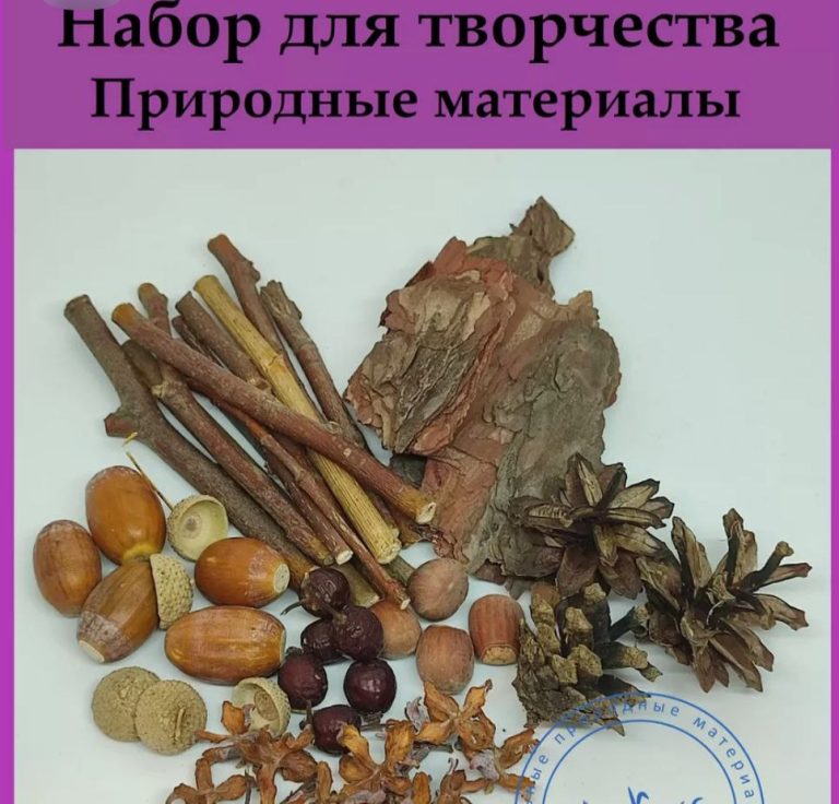 Ветки, шишки и другое: ТОП-5 идей для открытия своего дела