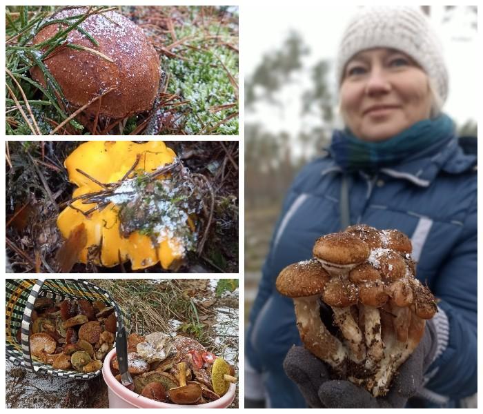 молодечно грибники