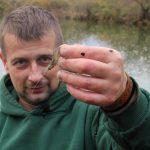 Как ловятся белорусские креветки в Белоозёрске