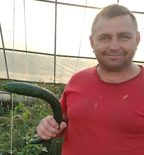 теплица Монголия заработки