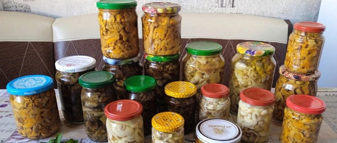 грибы закатки рецепт