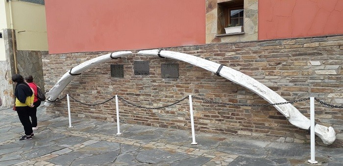 Челюсти кита в Кабо де Пеньяс, выловленного здесь когда-то с помощью гарпунной пушки