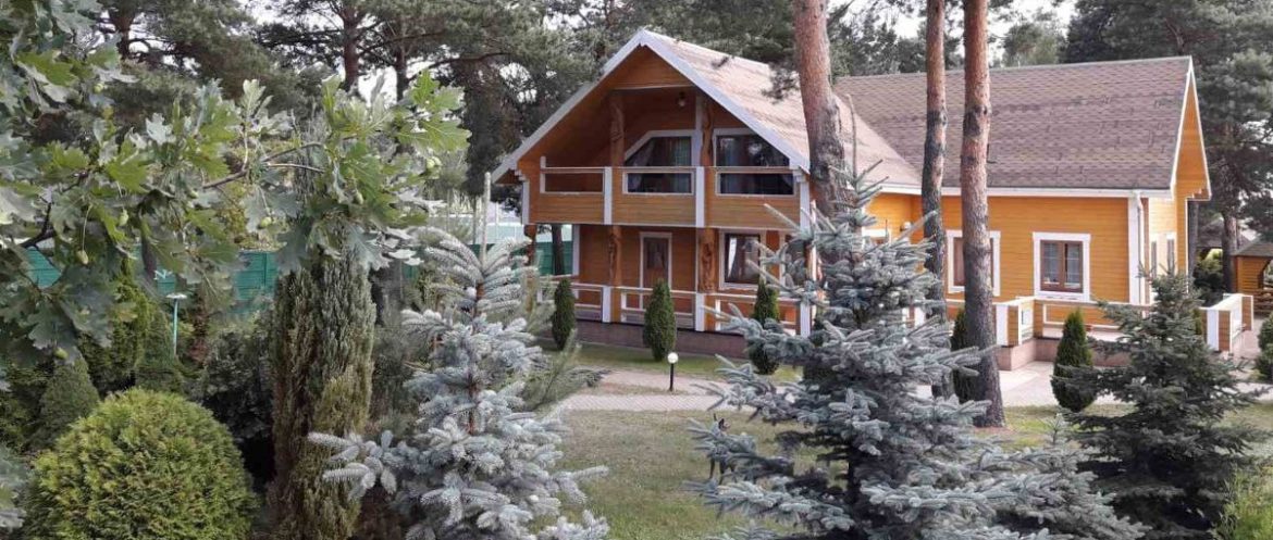 Берёза Чиж Вариант