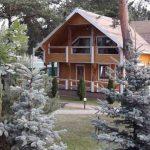 Берёза Чиж Вариант