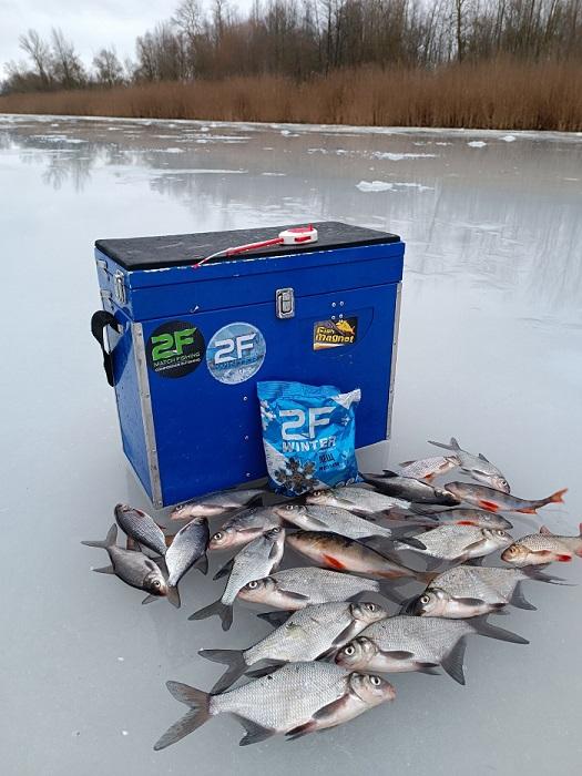 улов пинск рыбалка