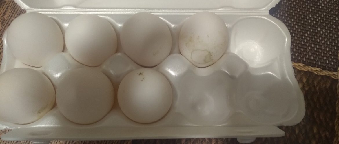 Грязные куриный яйца