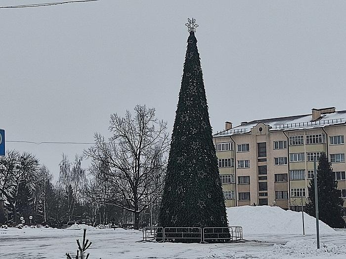 ёлка ивацевичи