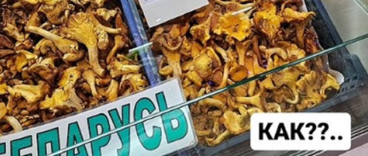 Грибы лисички на Комаровка цены