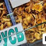 Грибы лисички на Комаровка цены