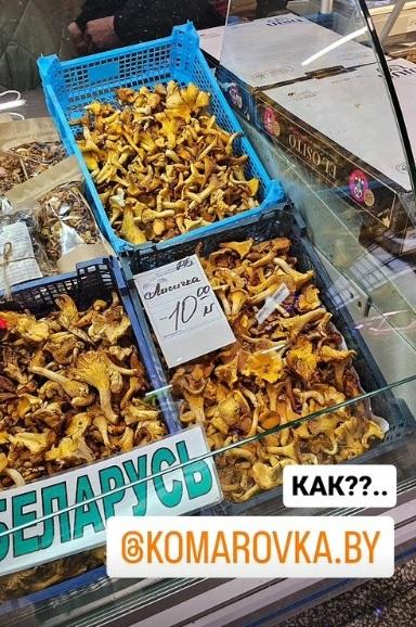 лисички Комаровка цены