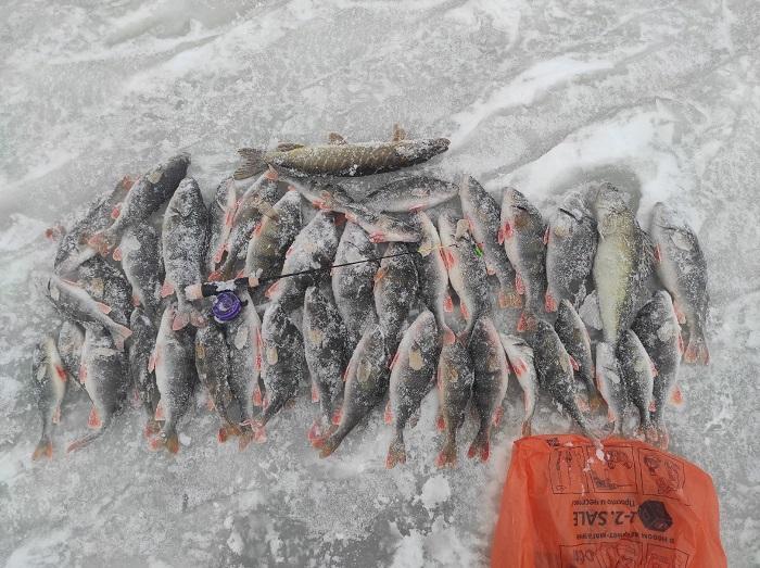 рыбалка окунь