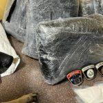 Испания собака выявил наркотики