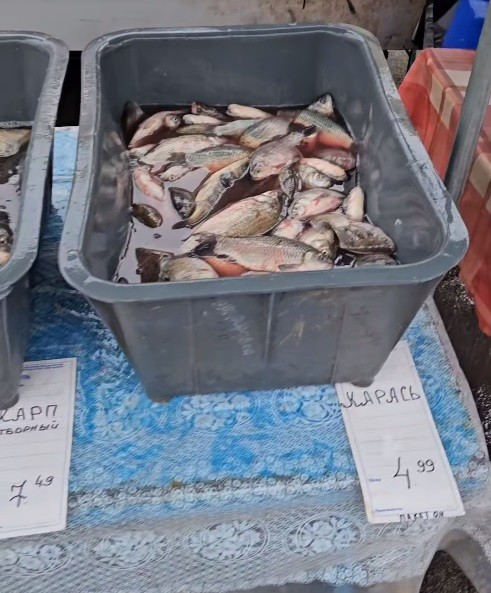 Живая рыба в продаже на "Комаровке"