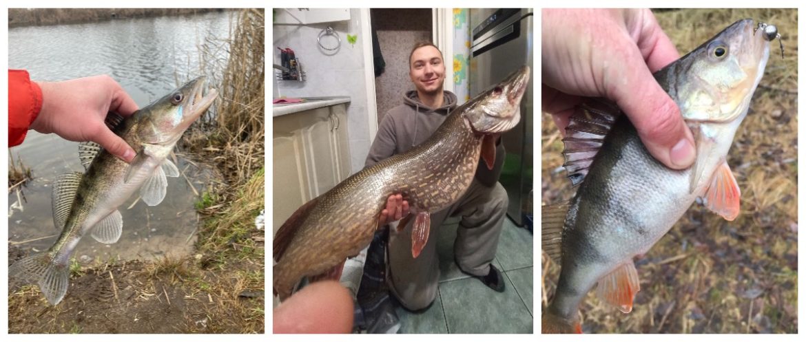 Антон Рудик из Бреста, вытянув десятикилограммовую щуку