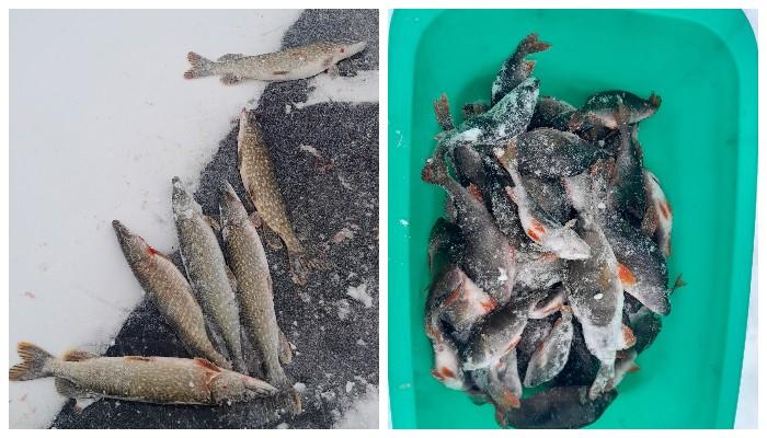 рыбалка Спорово