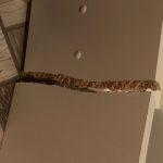 жалоба Купили табуретки, а они ломаются