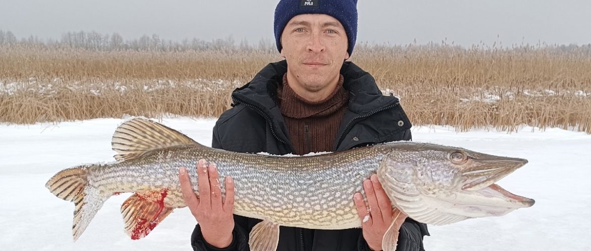 рыбалка щука