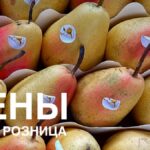 Цены на рынке
