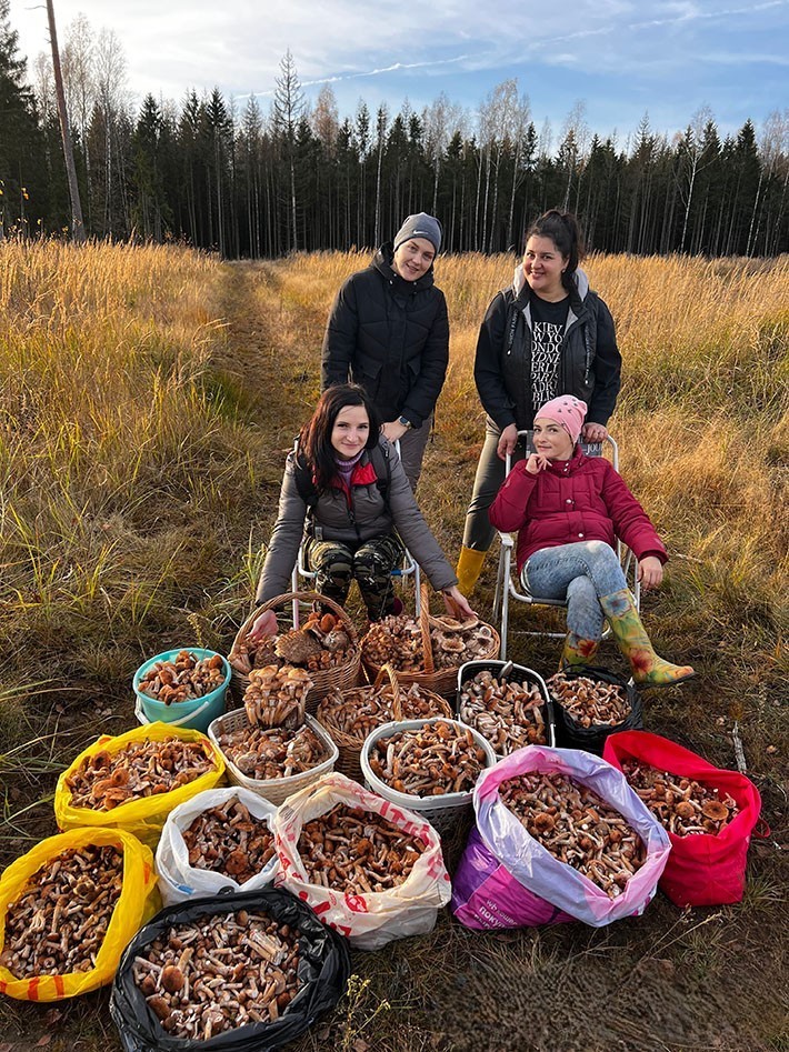 Грибники с полными корзинами опят в осеннем поле