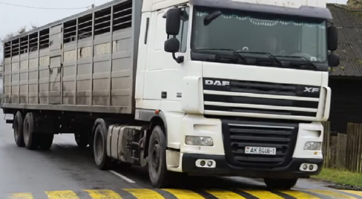 Спящий полицейский в деревне Чемелы Ивацевичского района