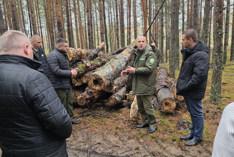 Начальству показали лес "для тиктокеров"