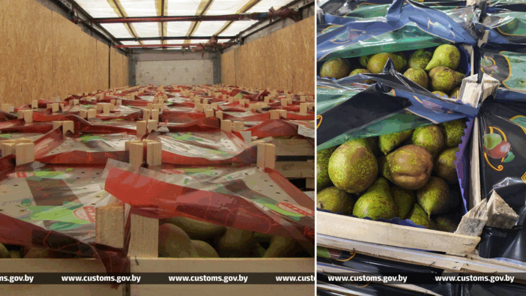Ящики с грушами, упакованные в фуре