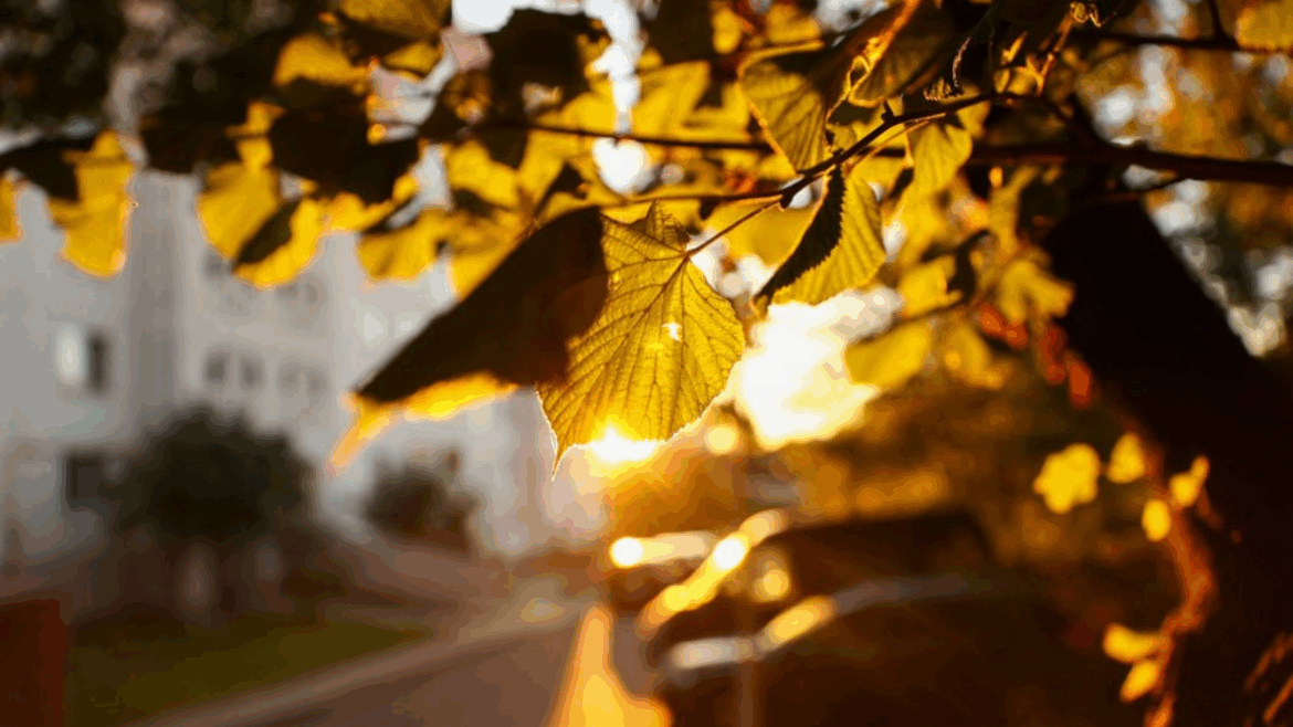 в Брестской области на подходе зима