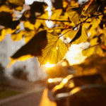 в Брестской области на подходе зима