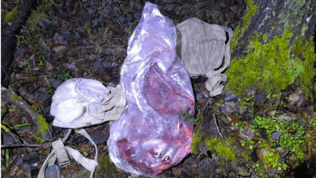  Лесники нашли  тушу косули в прозрачном пакете и тканевых мешках, лежащих на лесной подстилке возле дерева.