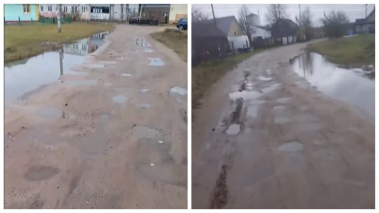 Жительница деревни пожаловалась на дорогу, а власти сказали, что она нормальная Дорога в Ракове