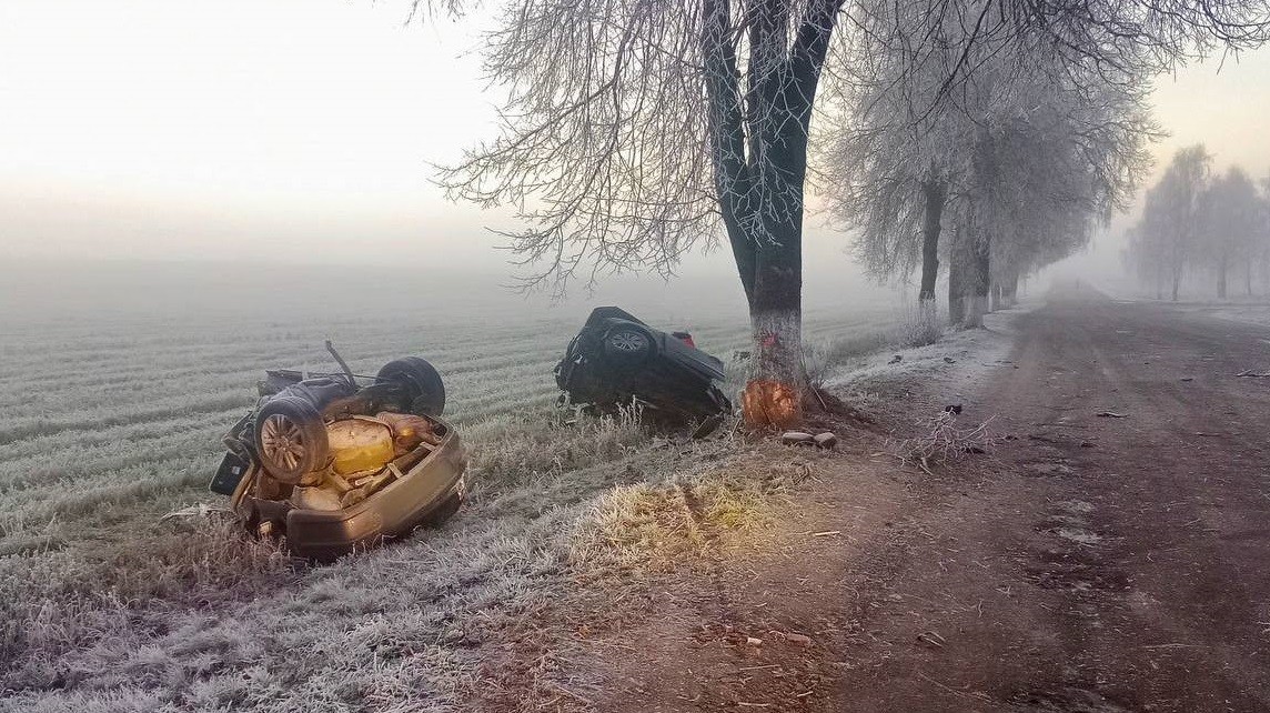 Машину разорвало о дерево
