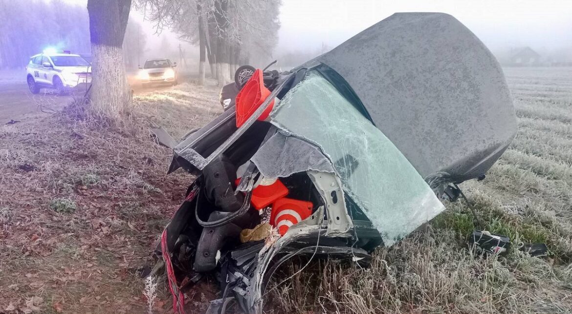 ДТП в Гомельской области
