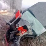 ДТП в Гомельской области